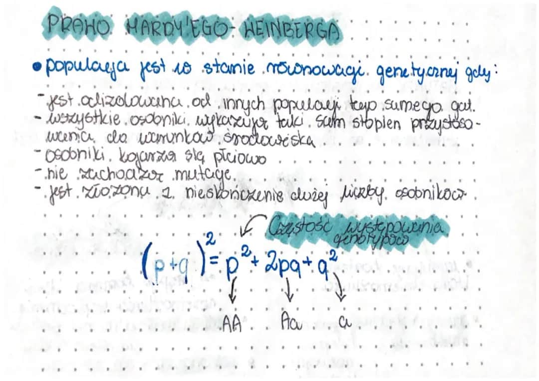 Honor w literaturze: Ewolucja, przykłady, jak analizować na maturze